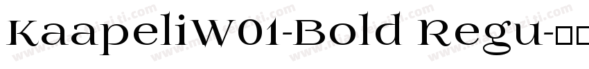 KaapeliW01-Bold Regu字体转换